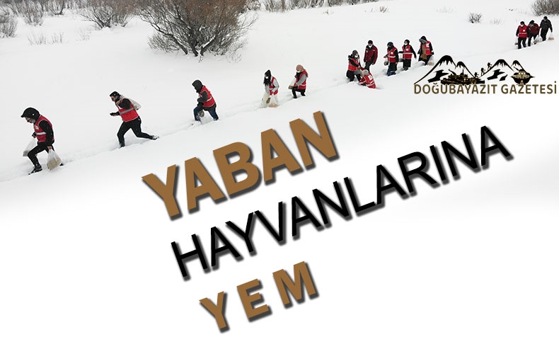 Türk Kızılay gönüllüleri, yaban hayvanları için dağlık bölgelere yem bıraktı