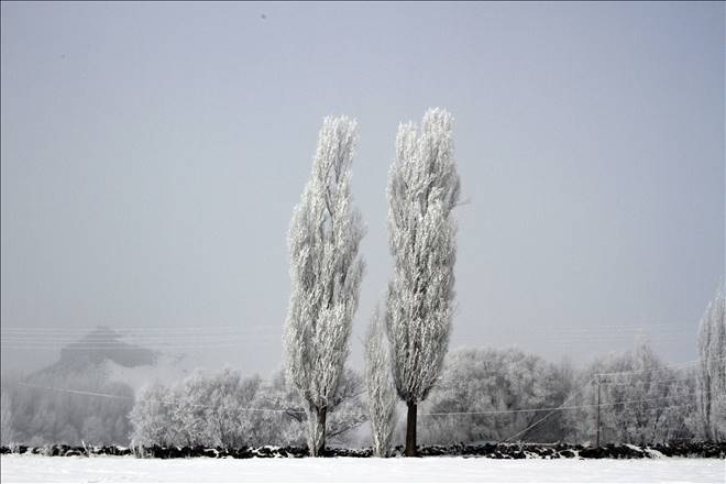 /resimler/2015-1/21/091954906.jpg