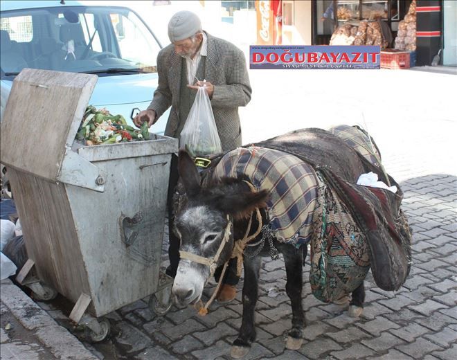 DOĞUBAYAZIT´TA RIZIK ARAMAK?