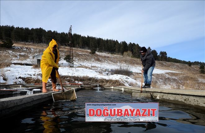DOĞU´DAKİ BALIKÇILARIN SOĞUKLA MÜCADELESİ