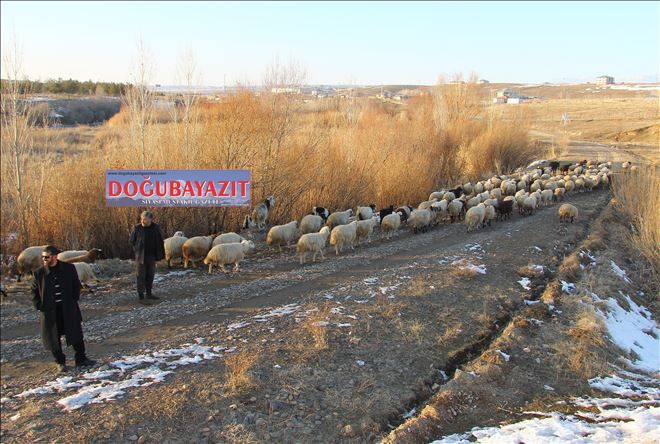 ÇİFTÇİLER ZORDA?
