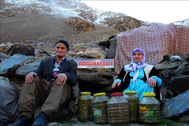 KIŞLIK BESİNLER MAĞARALARDAN ÇIKARILDI