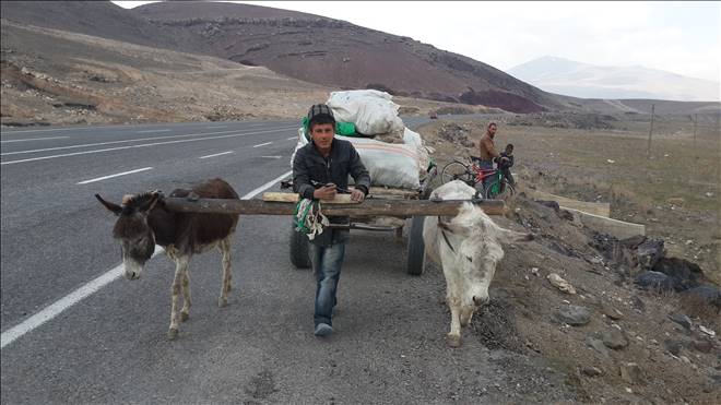 Yeni İstihdam Alanı Eşekleri Kıymete  Bindirdi