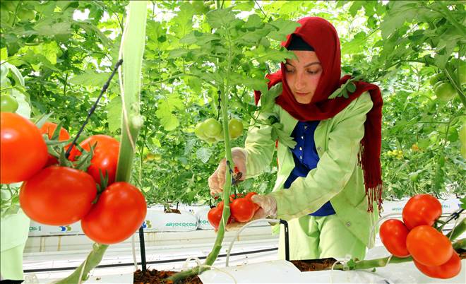 DİYADİN