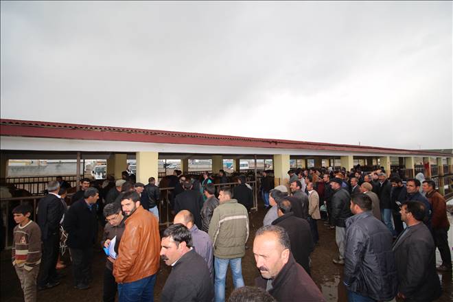 Ağrı