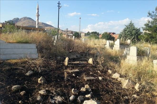 DOĞUBAYAZIT VE KÖY MEZARLIKLARI YABANCI OTLAR KAPLADI