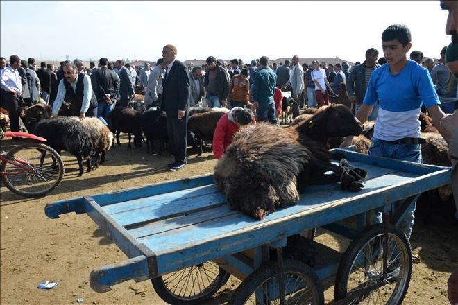 KURBAN BAYRAMINA 1 GÜN KALA HAREKETLİLİK SÜRÜYOR