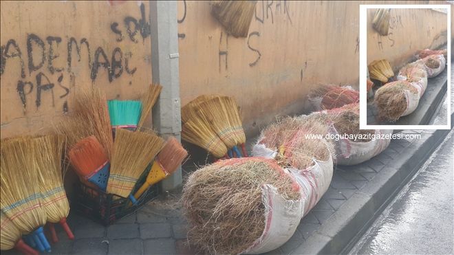 DOĞUBAYAZIT´TA KÖŞE BAŞLARINDA YERİNİ SÜSLEYEN ÇALI SÜPÜRGELERİ?