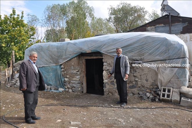 SOĞUĞA KARŞI NAYLONLU KORUMA?