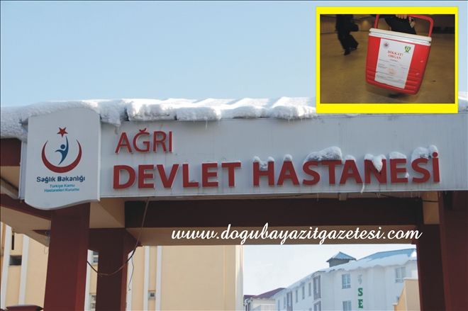 Organ ve Doku Bekleyen Onca Hasta Varken