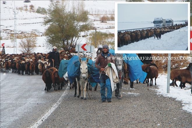 KAR YAĞIŞI YAYLADA GÖÇ ETMEK ZORUNDA KALANLARI PERİŞAN ETTİ?
