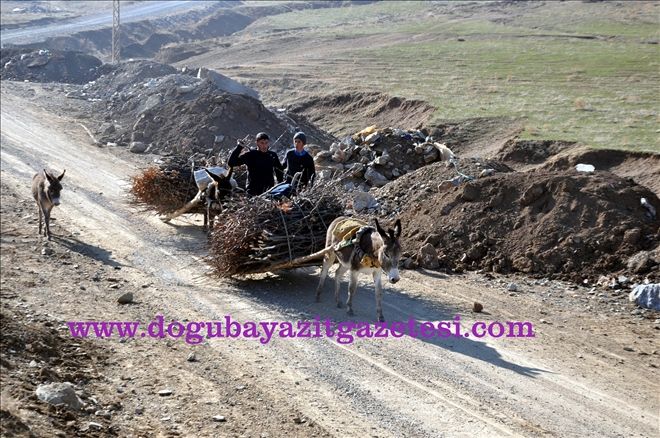 TAŞIMACILIKTA DİKKAT ÇEKEN KARELER?