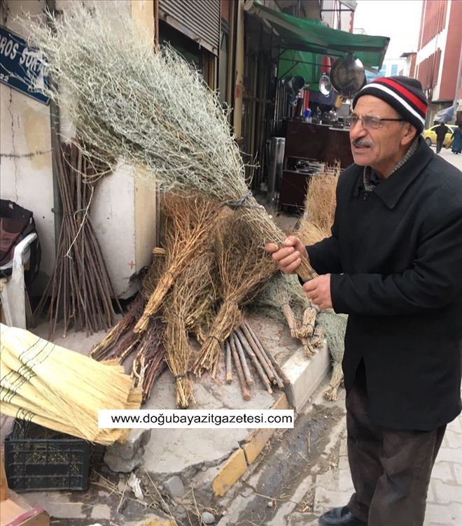 ÇALI SÜPÜRGESİ HALEN VARLIĞINI KORUYOR...