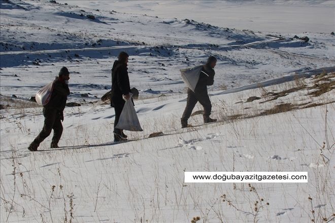 Yabani hayvanlar için doğaya yem bıraktılar...