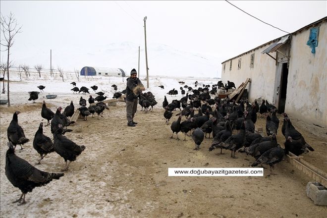 HİNDİLER YILBAŞINA HAZIR...