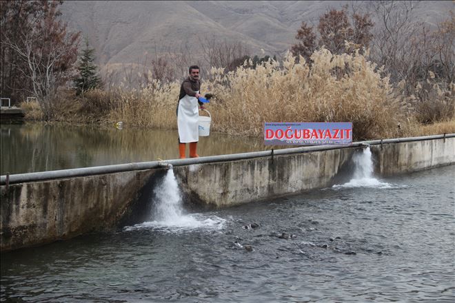 Doğu´da balıkçılığa dev destek