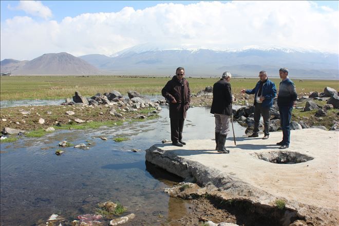 DOĞUBAYAZIT KARABULAK SAZLIĞI ve YABAN KUŞLARI