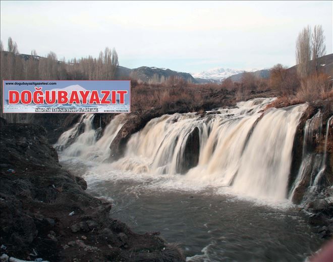Çözülen Muradiye Şelalesi coşkun akmaya başladı