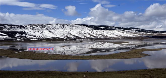 Göle Ovası´nı su bastı