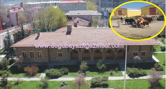 DOĞUBAYAZIT´TA TARIM KURSLARI TEŞVİK EDİLMELİDİR 