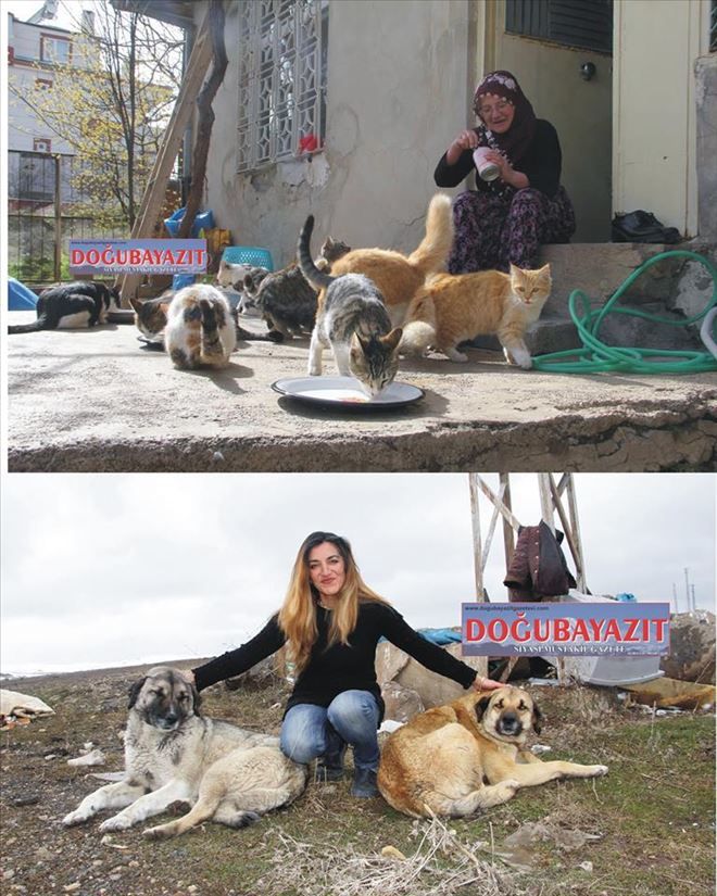 İKİ AYRI PORTRE?