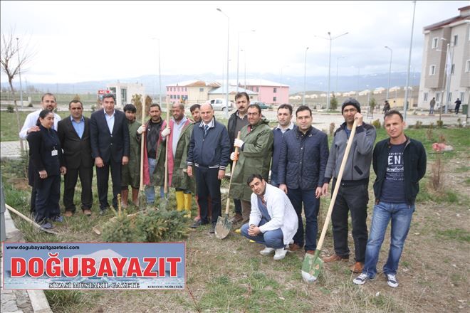 Diyadin Devlet Hastanesi Bahçesine fidan dikimi 