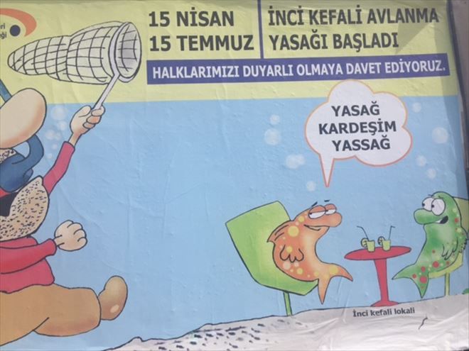 VAN GÖLÜNDE BALIK YASAĞI BAŞLADI