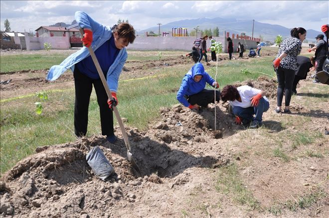 TOPRAĞIN KADINLARI FİDANLAR DİKTİ