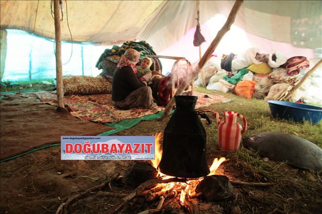 YAYLACILARIN ZORLU YAŞAMI