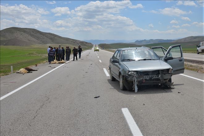 Ağrı´da otomobil koyun sürüsüne daldı