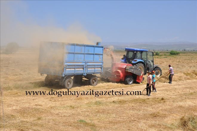 PATOZ MESAİSİ BAŞLADI?