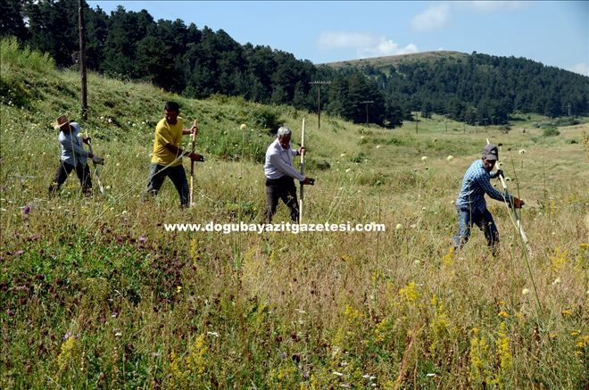 GELENEKSEL TARIM ALETLERİ