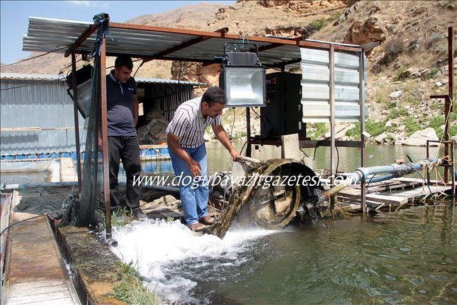 ALABALIK ÇİFTLİĞİNİN ELEKTRİĞİ ?KAYNAK SUYU?NDAN