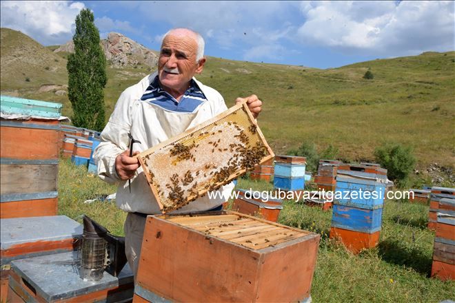 ORDULU ÇİFT 30 YILDIR AĞRI´DA ARICILIK YAPIYOR?