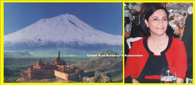 DİL İLE YARALANAN KALBİN İYİLEŞME ŞANSI YOKTUR...