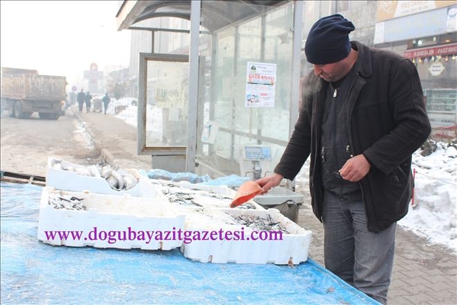 TABLA ÜSTÜNDE BALIK SATARAK GEÇİMİNİ SAĞLIYOR?