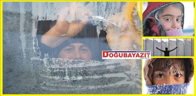 DONDURUCU SOĞUKLARDA DİKKAT ÇEKEN KARELER?