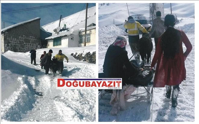 EŞEKLİ KIZAKLA AMBULANS?