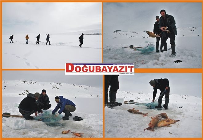 BUZUN ALTINDA EKMEK PARASI?
