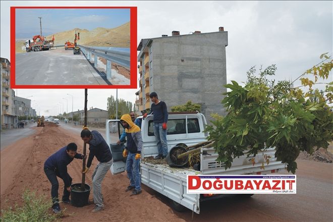 DOĞUBAYAZIT´TA PEYZAJ ÇALIŞMALARI?