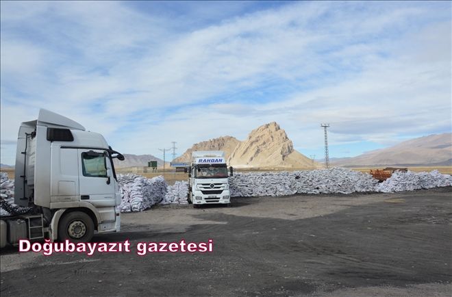 DOĞUBAYAZIT´TA KÖMÜR YARDIMLERI BAŞLADI