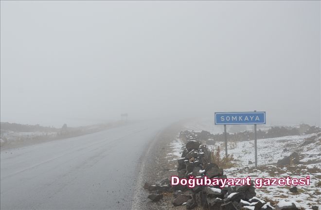 DOĞUBAYAZIT-TENDÜREK ARASINDA DAĞ GEÇİDİNDE KAR YAĞIŞI?