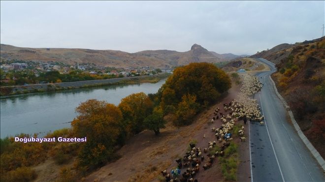 YAŞAMIN ENGEBELİ VE ZORLUKLARI