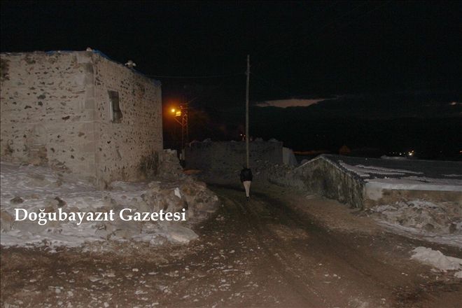 AĞRI´NIN TAŞLIÇAY İLÇESİNE BAĞLI 2 KÖYDE KUŞ GRİBİ KARANTİNASI