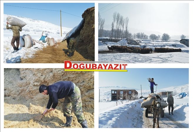 KIŞ AYINDA SAMANIN ALEVİ YÜKSELDİ?