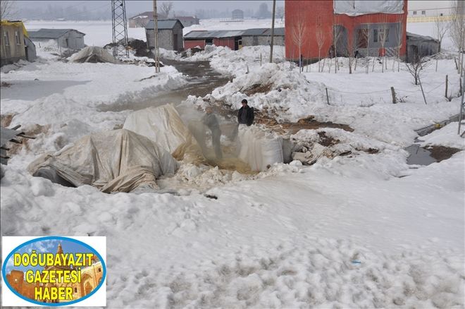 SAMAN FİYATLARI ALEVLENDİ...