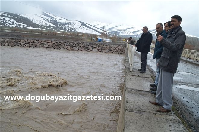 AĞRI´DA SAĞANAK YAĞIŞ, DERE TAŞTI, BAZI TARIM ARAZİLERİ SU ALTINDA KALDI?