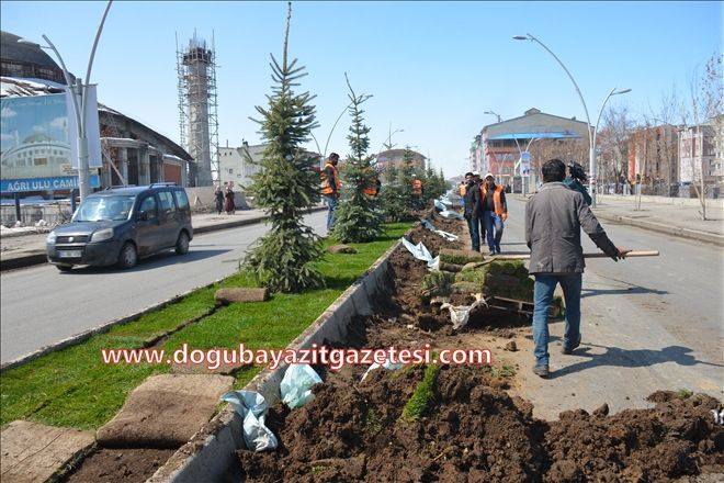 AĞRI´NIN ÇEHRESİ?