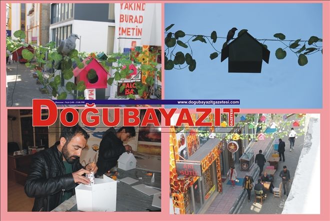 KUŞ EVİ PROJESİ?
