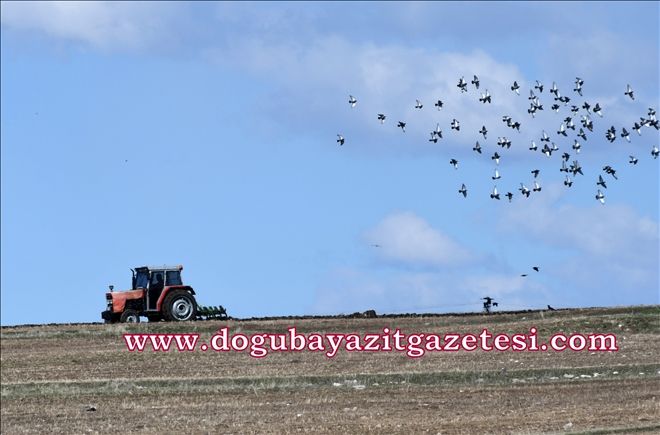 KARA KIŞ´IN ARDINDAN TOHUMLAR TOPRAĞA KAVUŞTU?